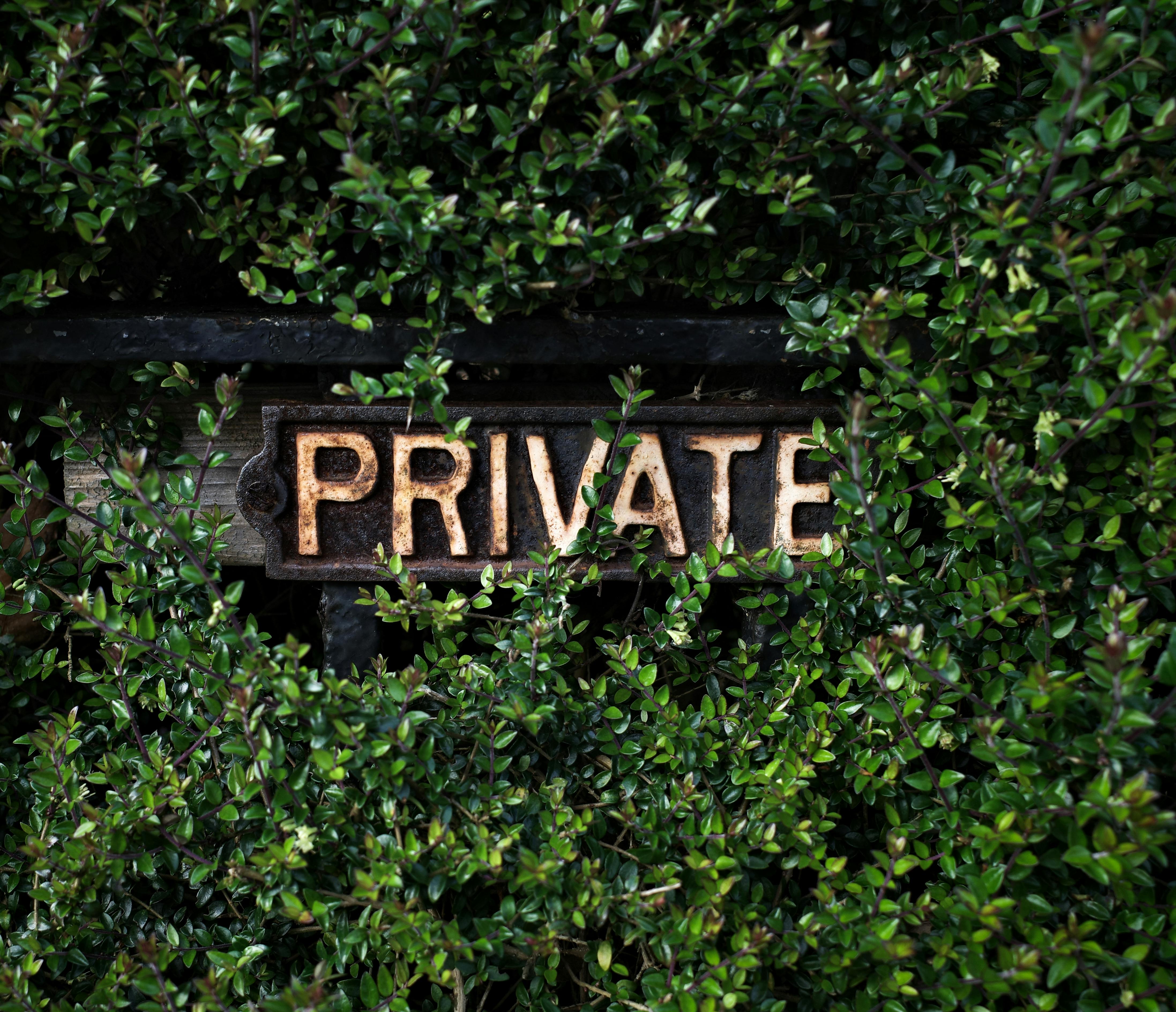 The Invitation